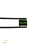 Natural Green Tourmaline – Certified by GIA | 1.60 Carats | Report No. 6481398365