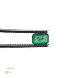 Natural Emerald – Certified by GIA | 1.00 Carat | Report No. 2487699871