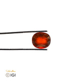 Natural Hessonite Garnet – Certified by IGI | 7.53 Carats | Report No. 612306125
