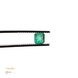 Natural Emerald – Certified by GIA | 0.96 Carat | Report No. 7488354223