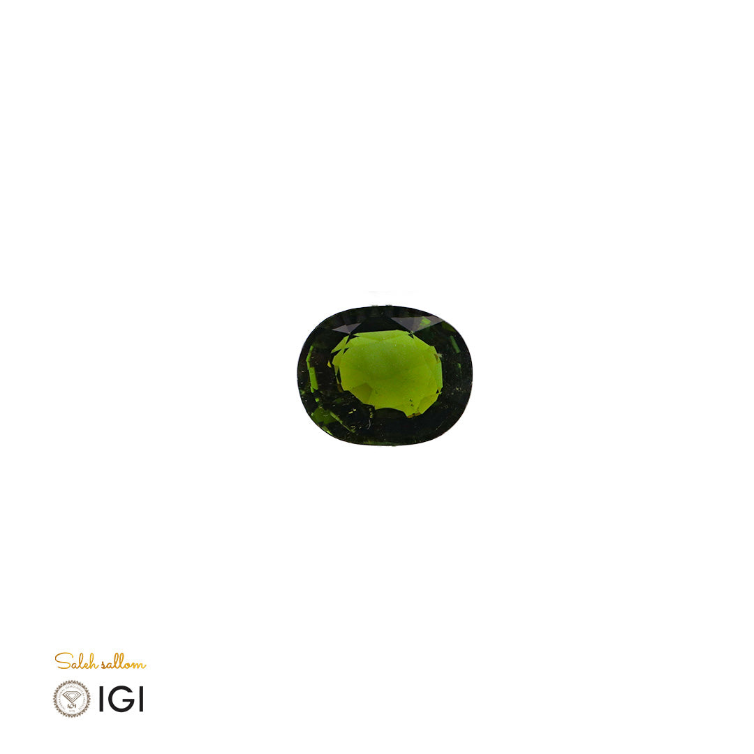 Natural Verdelite Tourmaline – Certified by IGI | 4.00 Carats | Report No. 612306123