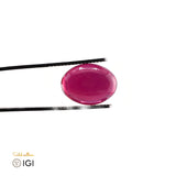 Laboratory Grown Star Ruby – Certified by IGI | 13.43 Carats | Oval Cabochon | Report No. 639402540