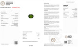 Natural Verdelite Tourmaline – Certified by IGI | 4.00 Carats | Report No. 612306123