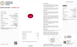 Natural Ruby -  1.33 CT - Saleh Sallom