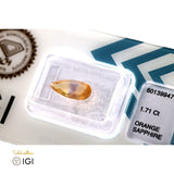 Natural Sapphire - 1.71 - Saleh Sallom