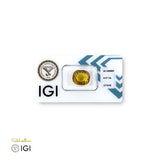 Natural Citrine - 9.07 ct - Saleh Sallom