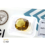 Natural Citrine - 9.07 ct - Saleh Sallom