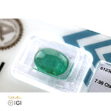 Natural Emerald - 7.99 CT - Saleh Sallom