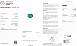 Natural Emerald - 7.99 CT - Saleh Sallom