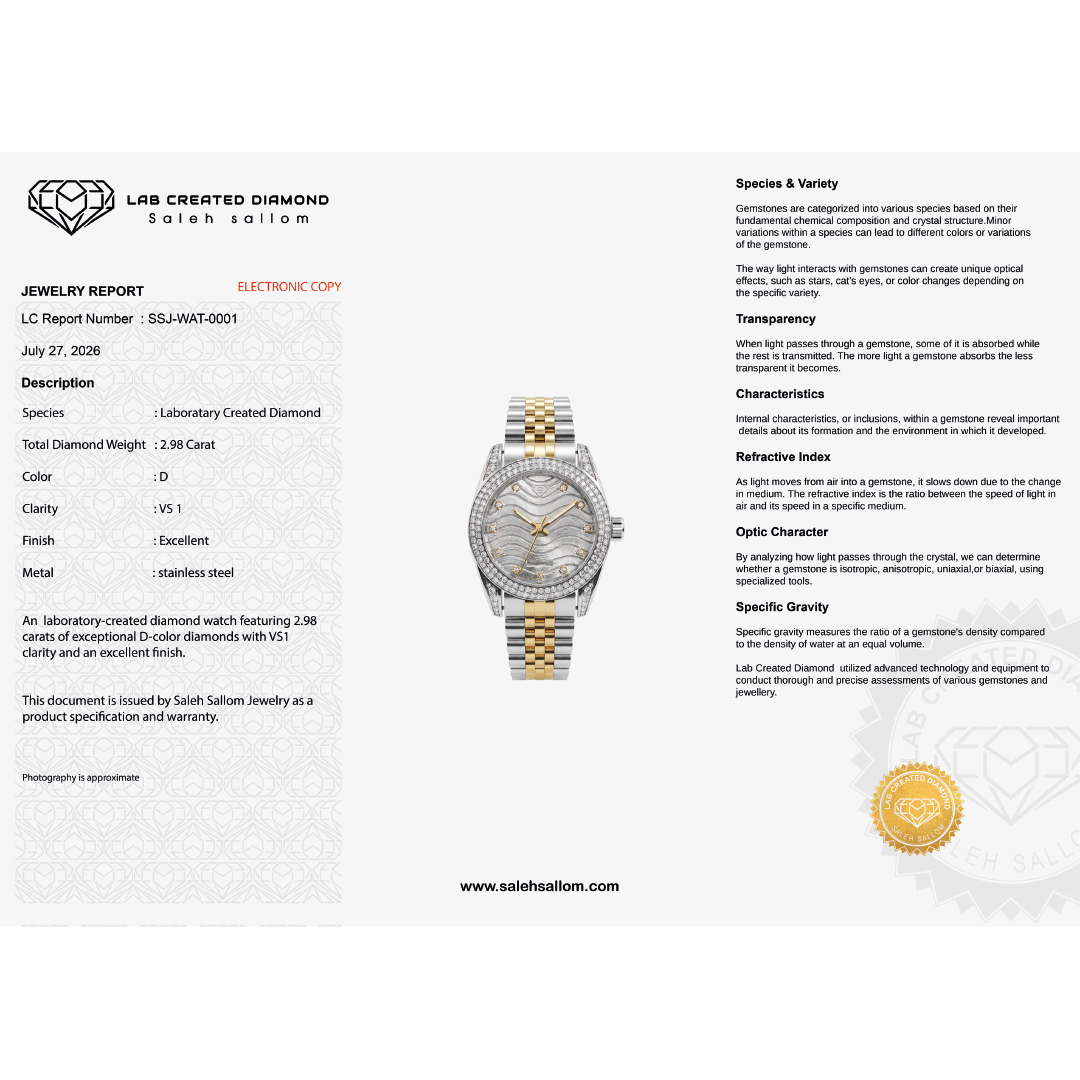 Lab Created Diamond Luxury Watch | 2.98 CT Lab Created Diamonds | D Color | VS1 Clarity | Stainless Steel | Saleh Sallom Secondary image
