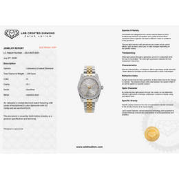Lab Created Diamond Luxury Watch | 2.98 CT Lab Created Diamonds | D Color | VS1 Clarity | Stainless Steel | Saleh Sallom