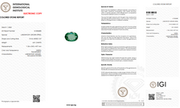 IGI Certified Laboratory Grown Green Spinel | 4.41 Carat Oval Mixed Cut | Luxury Gemstone-Saleh Sallom