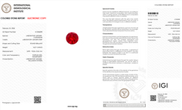 IGI Certified Laboratory Grown Ruby | 14.27 Carat Round Brilliant Cut | Purplish Red-Saleh Sallom