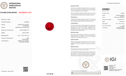 IGI Certified Laboratory Grown Ruby | 28.34 Carat Round Cut | Red-Saleh Sallom