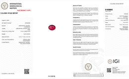 IGI Certified Laboratory Grown Star Ruby | 13.43 Carat Oval Cabochon | Rare Luxury Gemstone-Saleh Sallom