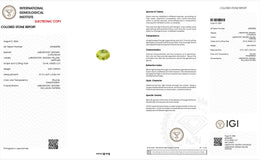 IGI Certified Laboratory Grown Yellow Sapphire | 3.89 Carat Oval Mixed Cut | Fine Luxury Gemstone-Saleh Sallom