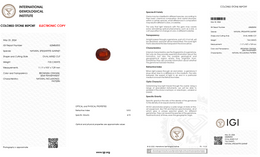 IGI Certified Natural Spessartite Garnet | 7.03 Carat Oval Cut | Brownish Orange-Saleh Sallom