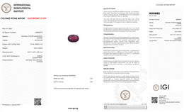 IGI Certified Natural Rhodolite Garnet | 5.52 Carat Oval Cut | Purple-Saleh Sallom