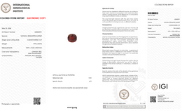 IGI Certified Natural Spessartite Garnet | 7.99 Carat Cushion Cut | Orangy Red-Saleh Sallom