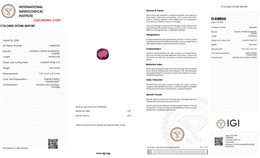 IGI Certified Natural Rhodolite Garnet | 1.94 Carat Cushion Rose Cut | Pinkish Purple-Saleh Sallom