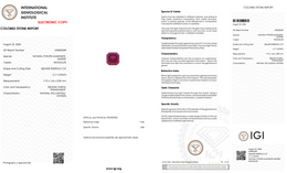 IGI Certified Natural Rhodolite Garnet | 3.17 Carat Square Emerald Cut | Reddish Purple-Saleh Sallom