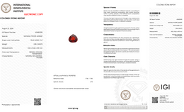 IGI Certified Natural Pyrope Garnet | 2.58 Carat Pear Cut | Reddish Orange-Saleh Sallom