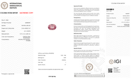 IGI Certified Natural Pink Zircon | 2.21 Carat Oval Cut | Brilliant Blush Luxury Gemstone-Saleh Sallom