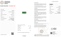 IGI Certified Natural Verdelite Tourmaline | 6.16 Carat Emerald Cut | Elegant Yellowish Green Gemstone-Saleh Sallom