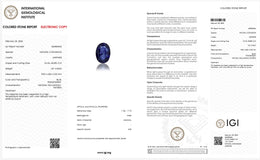 IGI Certified Natural Blue Sapphire | 1.87 Carat Oval Mixed Cut | Luxury Gemstone-Saleh Sallom