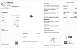 IGI Certified Natural Blue Sapphire | 1.42 Carat Oval Mixed Cut | Luxury Gemstone-Saleh Sallom