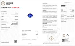IGI Certified Natural Blue Sapphire | 1.25 Carat Oval Mixed Cut | Luxury Gemstone-Saleh Sallom