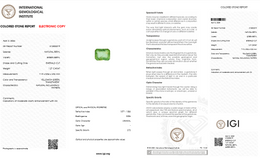 IGI Certified Natural Green Beryl | 1.27 Carat Emerald Cut | Moderate Oil Enhancement-Saleh Sallom