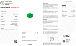 IGI Certified Natural Emerald | 2.55 Carats Oval Mixed Cut | Moderate Oil Enhancement-Saleh Sallom