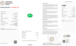 IGI Certified Natural Emerald | 0.99 Carat Oval Mixed Cut | Significant Oil Enhancement-Saleh Sallom
