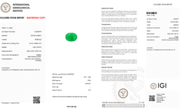IGI Certified Natural Emerald | 3.28 Carats Oval Mixed Cut | Moderate Oil Enhancement-Saleh Sallom