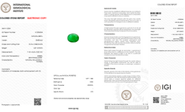 IGI Certified Natural Emerald | 3.87 Carats Oval Cabochon | Moderate Oil Enhancement-Saleh Sallom