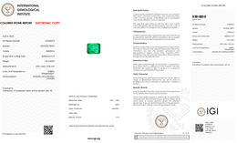 IGI Certified Natural Emerald | 1.32 Carat Emerald Cut | Luxury Gemstone-Saleh Sallom