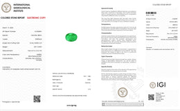 IGI Certified Natural Emerald | 0.87 Carat Oval Mixed Cut | Luxury Gemstone-Saleh Sallom