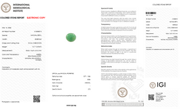 IGI Certified Natural Emerald | 13.17 Carat Oval Cabochon | Luxury Gemstone-Saleh Sallom