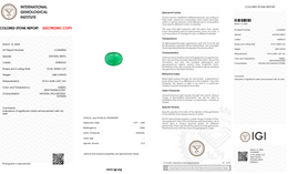 IGI Certified Natural Emerald | 2.88 Carat Oval Mixed Cut | Luxury Gemstone-Saleh Sallom
