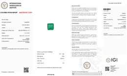 IGI Certified Natural Emerald | 1.10 Carat Square Emerald Cut | Luxury Gemstone-Saleh Sallom