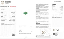 IGI Certified Natural Emerald | 6.59 Carat Oval Cabochon | Luxury Gemstone-Saleh Sallom