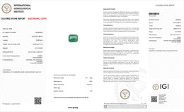 IGI Certified Natural Emerald | 0.73 Carat Emerald Cut | Luxury Green Gemstone-Saleh Sallom
