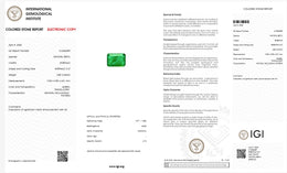 IGI Certified Natural Emerald | 6.85 Carats Emerald Cut | Significant Oil Enhancement-Saleh Sallom