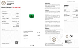 IGI Certified Natural Emerald | 27.45 Carats Cushion Cabochon | Luxury Collector Gemstone-Saleh Sallom