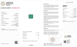 IGI Certified Natural Emerald | 9.22 Carats Emerald Cut | Luxury Collector Gemstone-Saleh Sallom
