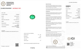 IGI Certified Natural Emerald | 4.10 Carats Oval Mixed Cut | Luxury Gemstone-Saleh Sallom