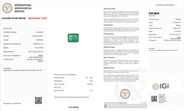 IGI Certified Natural Emerald | 7.63 Carats Emerald Cut | Luxury Collector Gemstone-Saleh Sallom