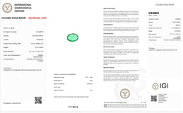 IGI Certified Natural Emerald | 0.79 Carat Oval Mixed Cut | Luxury Gemstone-Saleh Sallom