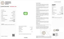 IGI Certified Natural Emerald | 1.25 Carats Emerald Cut | Luxury Gemstone-Saleh Sallom